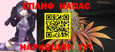 стафф Берёзовский