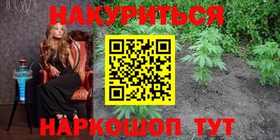 прущие грибы Гатчина