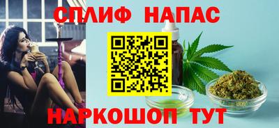 прущие грибы Гатчина