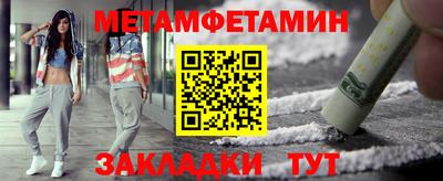 прущие грибы Гатчина