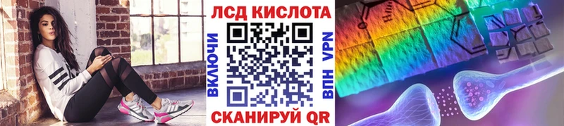 блэк спрут онион  магазин    Заводоуковск  Марки N-bome 1500мкг 