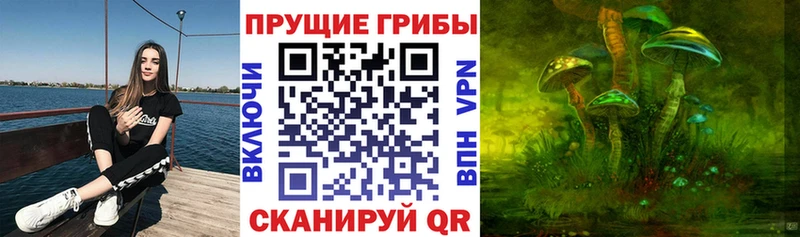 Галлюциногенные грибы Psilocybe  omg ссылки  Заводоуковск 