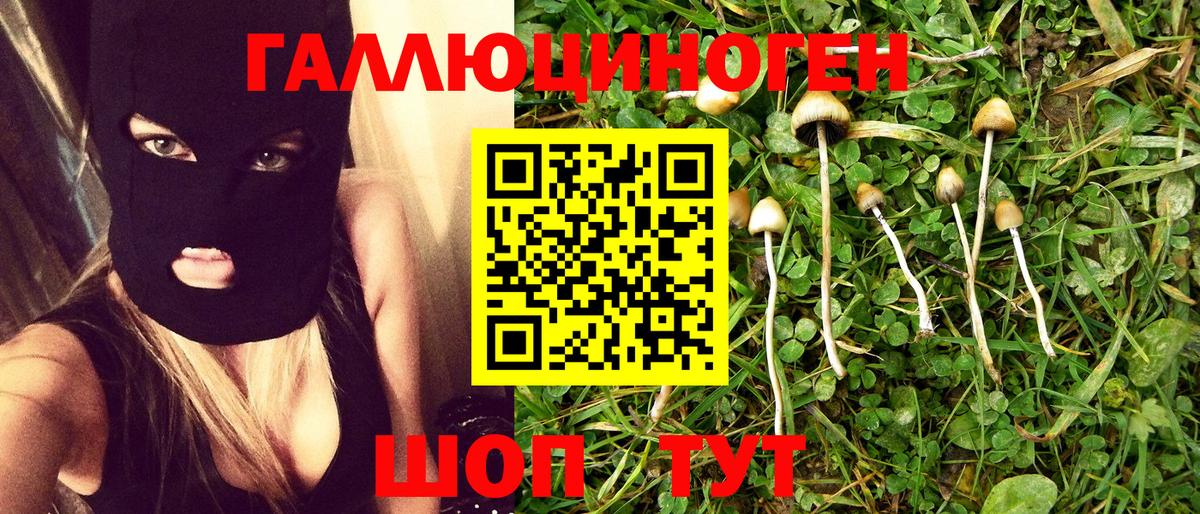 Галлюциногенные грибы GOLDEN TEACHER  Вход с VPN  Заводоуковск 
