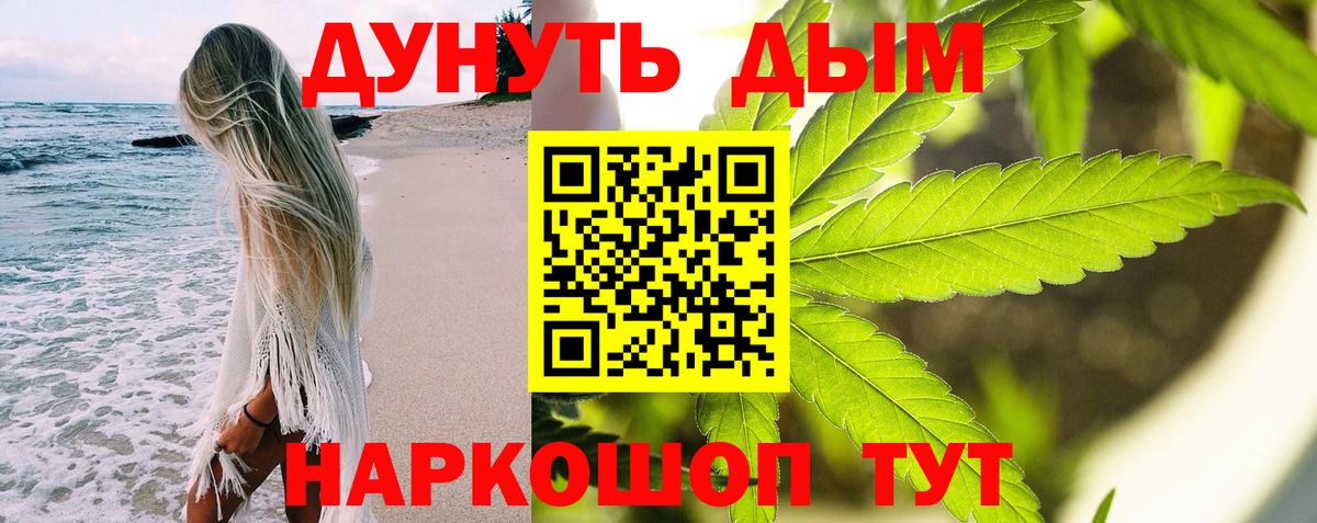 Марихуана Amnesia  Вход с VPN  Заводоуковск  Бошки марихуана гибрид  Бошки марихуана тримм 